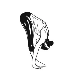 Hastapadasana (Standing forward bend)