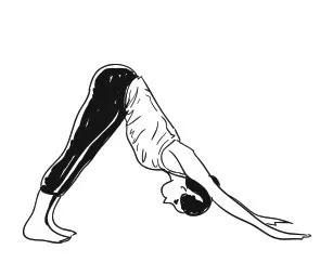 Adho Mukha Svanasana (Downward facing dog pose)